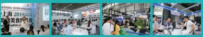 TopWine 牵手SIAL China，要打破“单一葡萄酒展”？