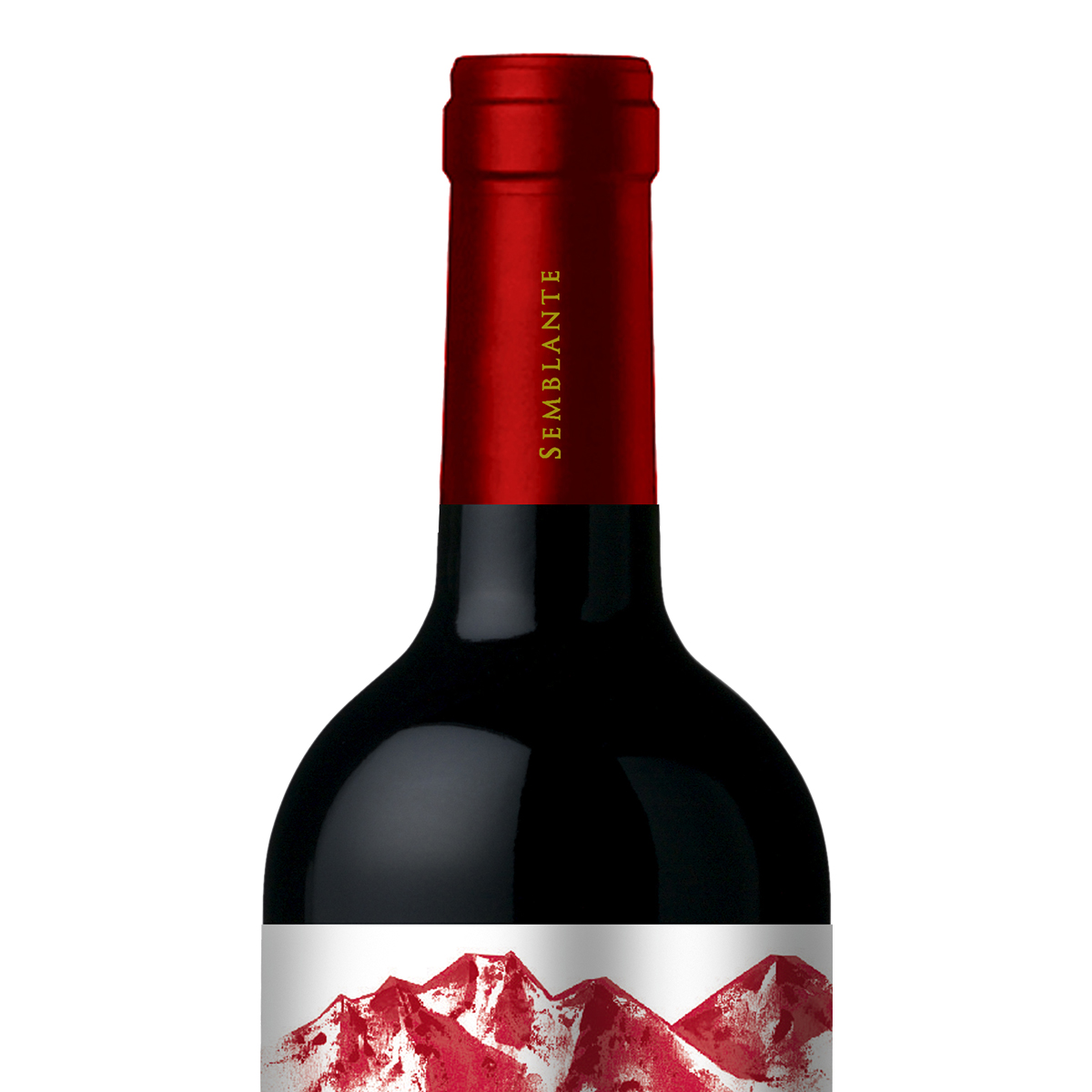智利中央山谷西格尔酒庄风彩系列赤霞珠干红葡萄酒
