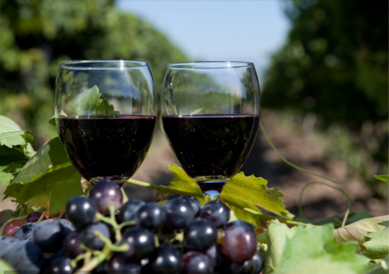 葡萄酒富有特色风味有什么？