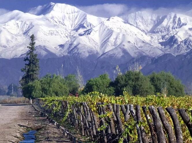 酿酒师的天堂？2019年智利葡萄酒能保持风靡全球的势头吗