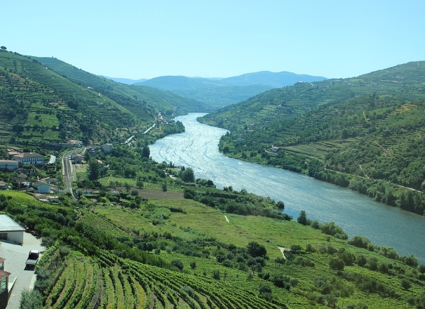 葡萄牙杜罗河葡萄酒产区收成之旅