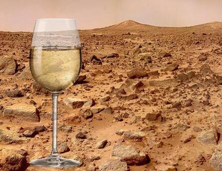 格鲁吉亚太空研究人员计划在火星上栽种葡萄
