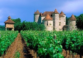 大家知道欧美中产的“葡萄酒庄”之梦吗？
