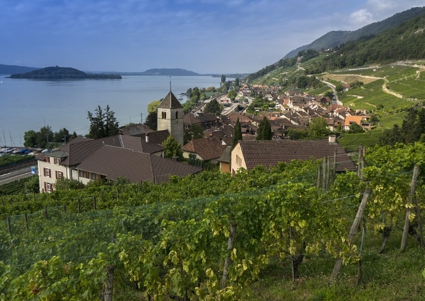 欧洲葡萄酒产区 欧洲的葡萄酒生产国家