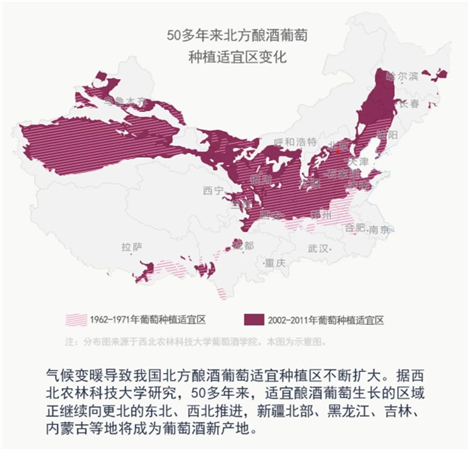 全球气候变暖有利于中国葡萄酒产区的发展