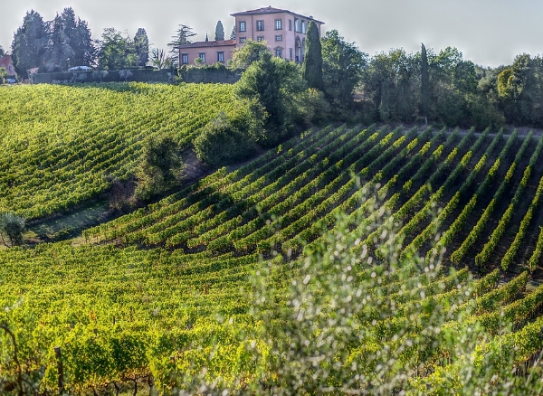 10个值得一游的意大利葡萄酒产区