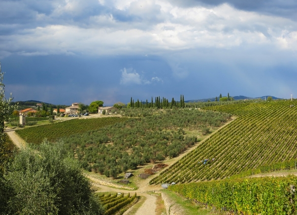 托斯卡纳著名的葡萄酒产区——基安蒂