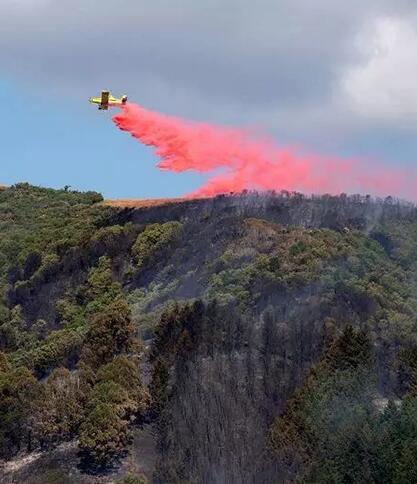 新西兰南岛北角发生野火，或会影响当地葡萄酒产区