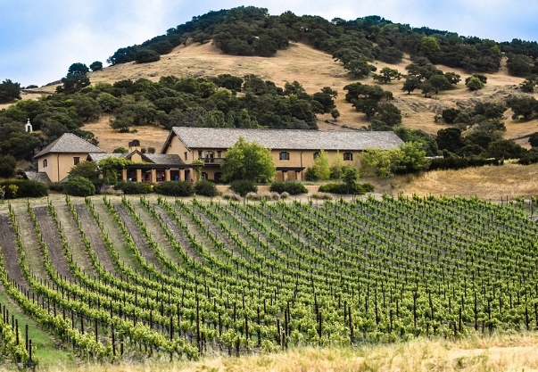 边缘地区：5个加州葡萄酒产区值得关注