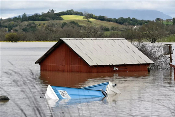 加州地区遭遇特大洪水，多个葡萄园被淹没