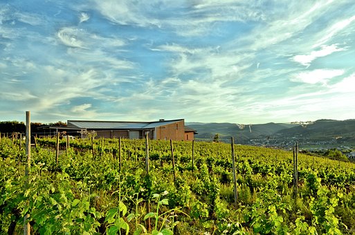 带大家去体验一番法国的普罗旺斯葡萄酒庄