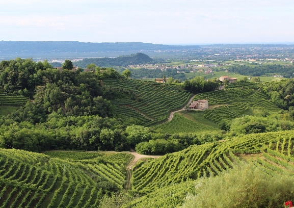 意大利葡萄酒产区——威尼托产区指南