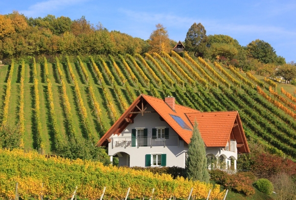 欧洲七大令人振奋的葡萄酒产区