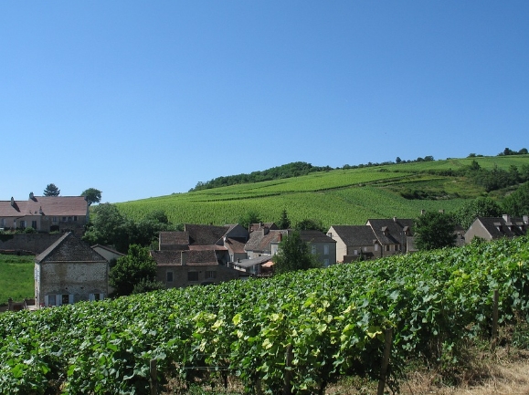 法国葡萄酒产区指南——勃艮第