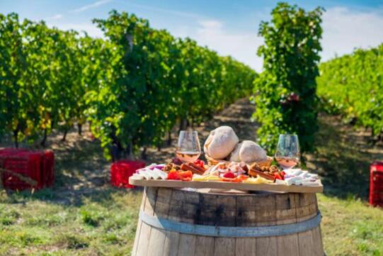 罗布酒庄代理招商|罗马尼亚葡萄种植和葡萄酒文化
