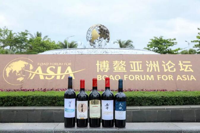 11见证亚洲巨变：长城葡萄酒为何与“博鳌”每年相见