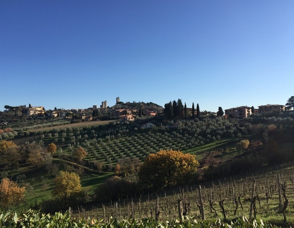 意大利南部葡萄酒产区和类型