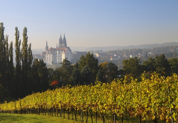 德国葡萄酒和产区的简单介绍