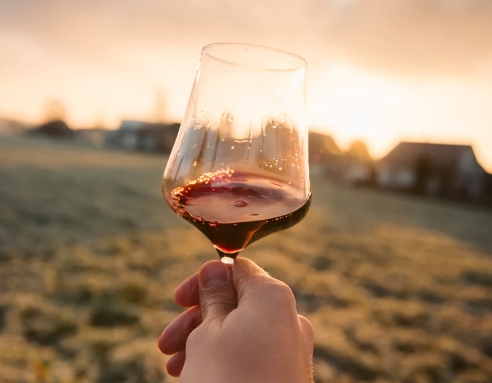 葡萄酒挂杯：如何在喝之前解读你的葡萄酒