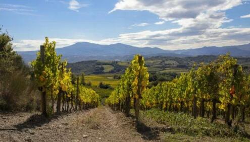 意大利葡萄种植满6年期限才可以变更大区