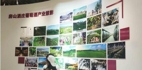 房山将建设“中国北京国际葡萄酒小镇”