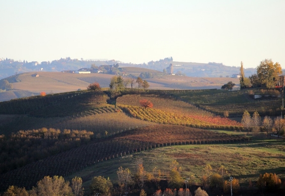 巴罗洛：一个美妙的意大利葡萄酒产区指南