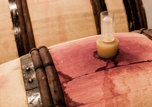 葡萄酒怎么发酵的？