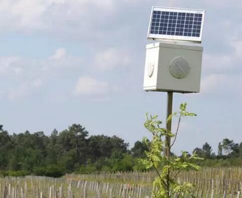 波尔多宝马酒庄使用“八音盒”来帮助葡萄藤开花结果