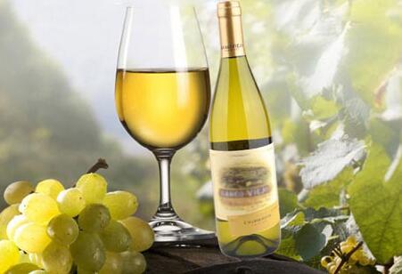 圣埃美隆酒庄将推出波尔多首款Grand Cru级别霞多丽葡萄酒