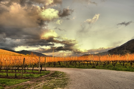 参观麦克拉伦谷葡萄酒产区的6个理由