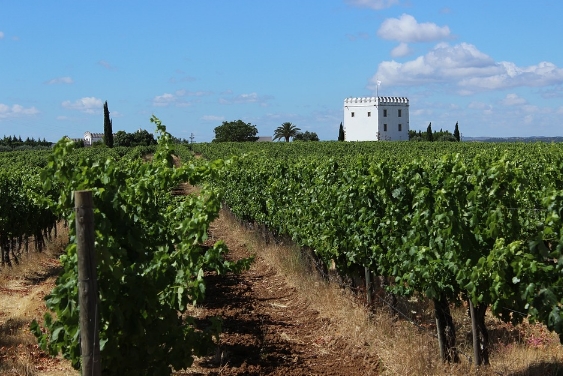 葡萄牙，您一定不懂的葡萄酒产酒国