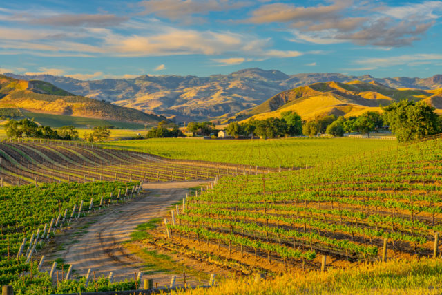 2018年加州葡萄酒销售额突破400亿美元