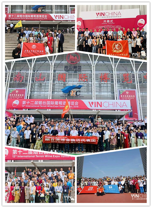 VinChina第十二届烟台酒博会顺利闭幕，创出多项新高！