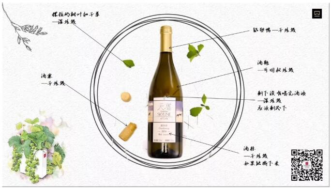 我是葡萄酒老板，在上海我用这些行动支持“垃圾分类”：