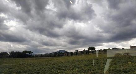 意大利普罗赛克葡萄酒产区被列入世界遗产名录