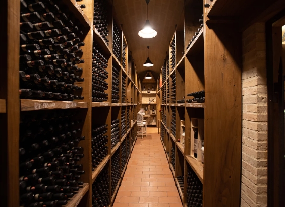 葡萄酒用什么储存？