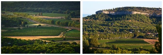 大地庄园 | Val des Pins 松谷庄探索朗格多克葡萄酒产区的魅力