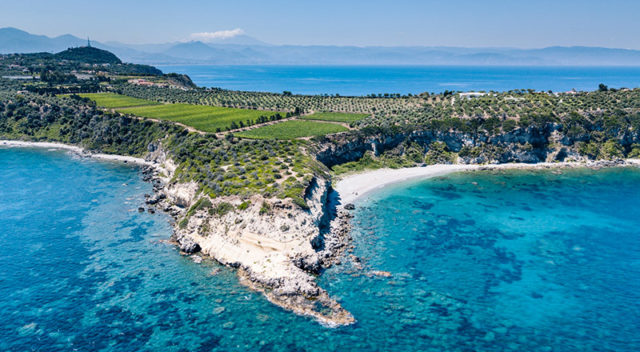 古代葡萄品种出现在西西里岛
