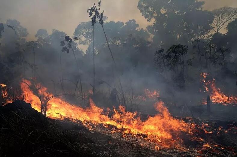 亚马逊森林大火继续延烧，葡萄园亦难幸免