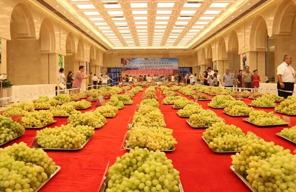 第二十八届中国丝绸之路吐鲁番葡萄节日前拉开帷幕