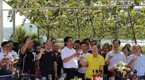葡萄美酒品鉴会在麻山镇幸福村七彩葡萄主题公园举行