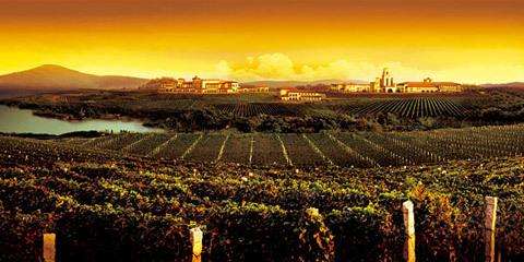 “蓬莱葡萄酒产业发展突出贡献人物”名单出炉