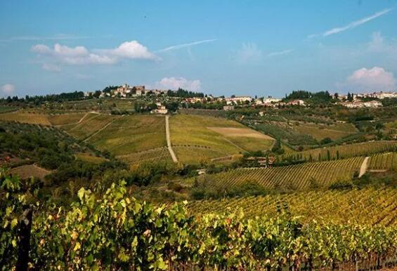 2019年意大利托斯卡纳大区葡萄酒产量有望达到2.5亿升