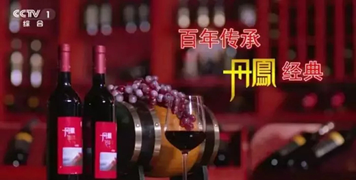 丹凤葡萄酒在央视多个频道亮相播出