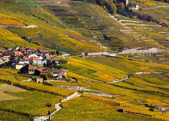 参观巴罗萨葡萄酒产区的6个理由