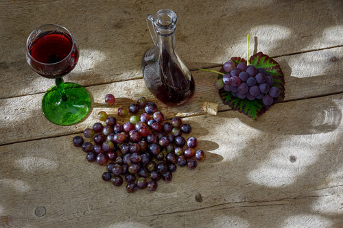 红酒是用什么酿造的？