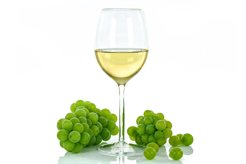 霞多丽属于白葡萄品种吗？