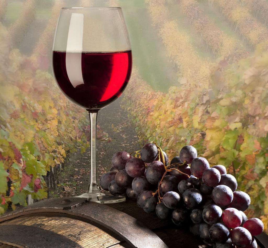 梨汤配上红葡萄酒是否有益心血管的健康呢？