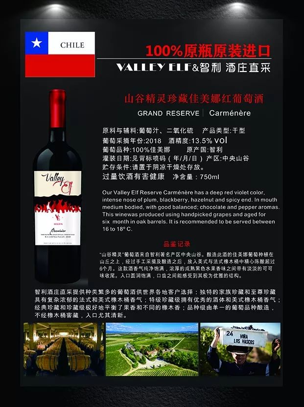 贴心的智利、法国葡萄酒进口商-深圳市天韵汇国际贸易有限公司 | 11.9-11 Interwine |