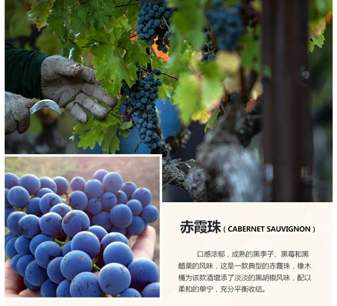 资深美国酒运营商EVO将率领多家加州葡萄酒庄参展11.9-11 Interwine！